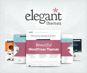 Quick Review on WordPress theme frameworks 5 elegant-themes