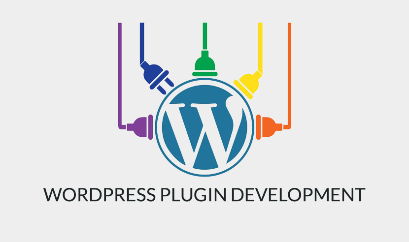 Must-know things for every WordPress plugin developer 9 WordPress Plugin Development