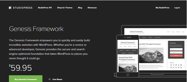 Top WordPress Theme Frameworks You Should Know 2 WordPress theme Genesis Framework