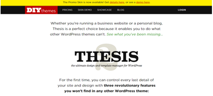 Top WordPress Theme Frameworks You Should Know 3 WordPress theme Thesis