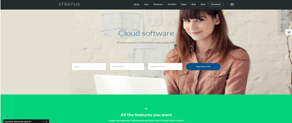 Best Landing Page WordPress Themes for High Conversion Sites in 2026 3 WordPress theme stratus