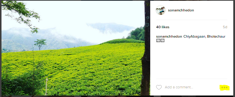 How to Add Instagram photos and videos to Your WordPress Site 6 use-code
