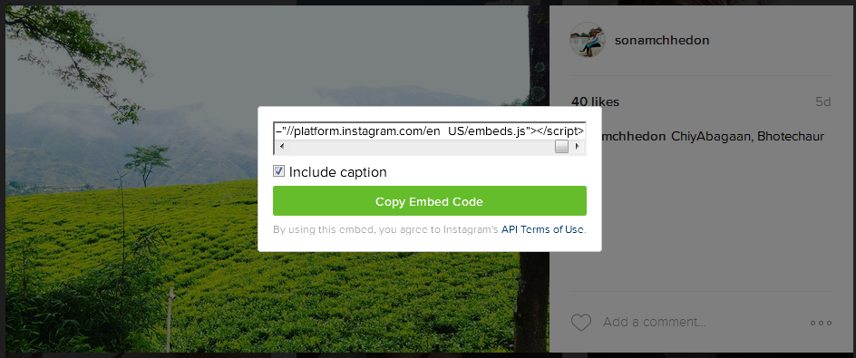 How to Add Instagram photos and videos to Your WordPress Site 7 instagram-embed-code