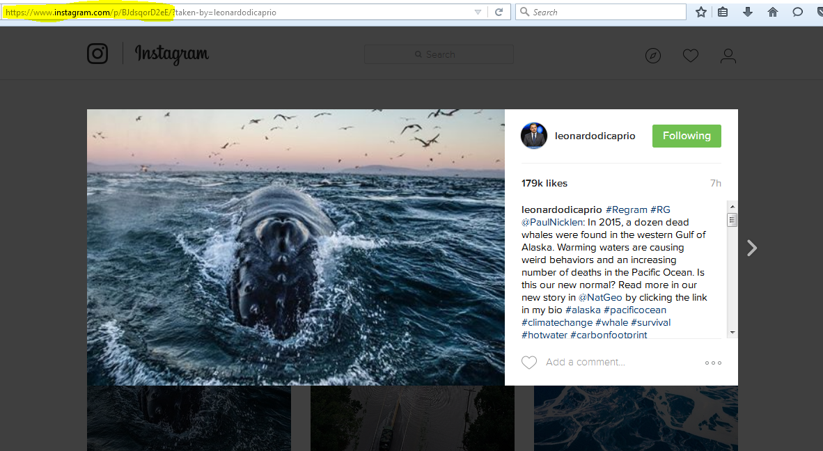 How to Add Instagram photos and videos to Your WordPress Site 2 embed-instagram-posts