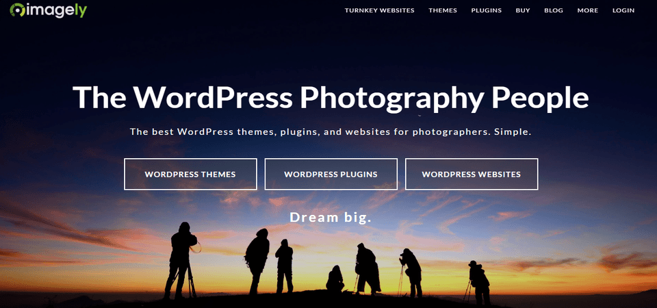 Best WordPress plugins for food bloggers 6 Nextgen-gallery