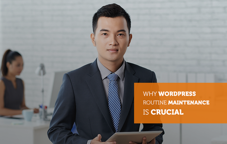 Why WordPress Routine Maintenance Is Crucial For Your Website?