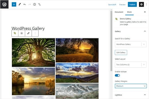 Best Gutenberg blocks plugins for WordPress 7 Envira Gallery