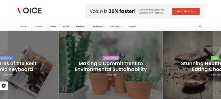 How To Create an Affiliate Website With WordPress: The Complete 2025 Guide 3 Voice WordPress Affiliate Theme