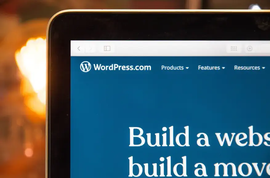How much does it cost to hire a WordPress Developer? 6 cost to hire a WordPress Developer
