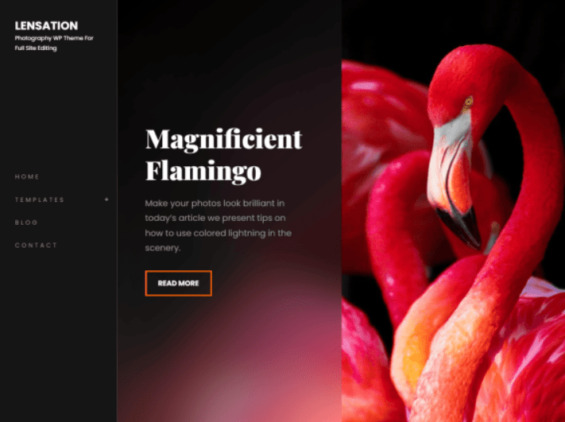30+ Best Free WordPress Themes For Your Business (2026 Updated) 20 Lensation