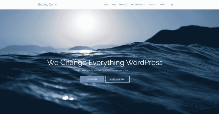 30+ Best Free WordPress Themes For Your Business (2026 Updated) 5 Shapely