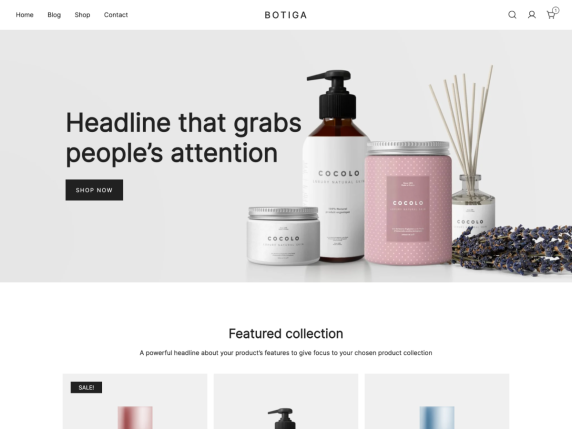 50+ Best WordPress eCommerce Themes For 2025 2 Botiga