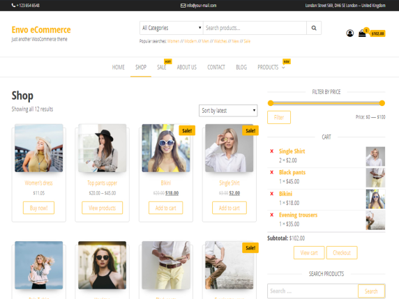 50+ Best WordPress eCommerce Themes For 2025 22 Envo eCommerce