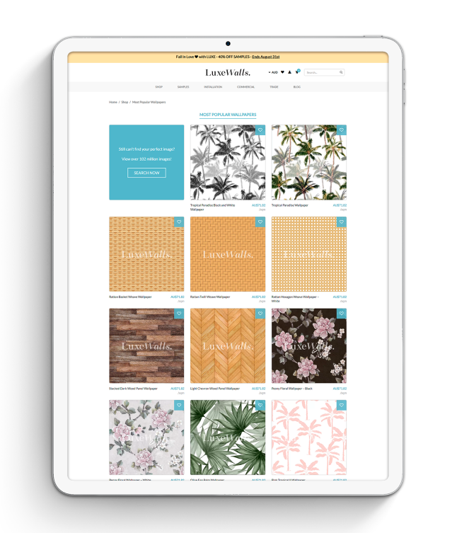 Perth Website Development