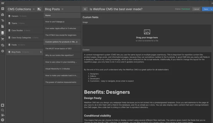 Webflow vs WordPress: Which Platform is Best for Australian Marketers? 4 Webflow's Content Management System