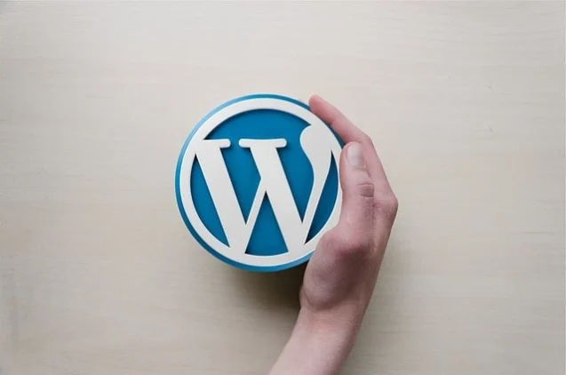 Is WordPress Good for Ecommerce? Let's Find Out! 2 A hand holding the WordPress logo, representing its flexibility and ease of use for various web solutions.