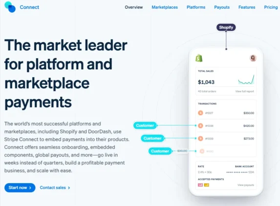 PayPal vs Stripe: Top WooCommerce Payment Gateway for 2026 9 Stripe Connect interface displaying marketplace payment solutions and global payouts