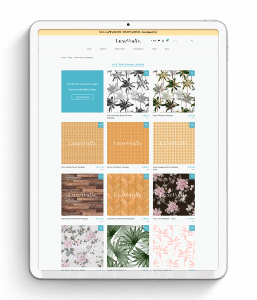 web developer geelong
