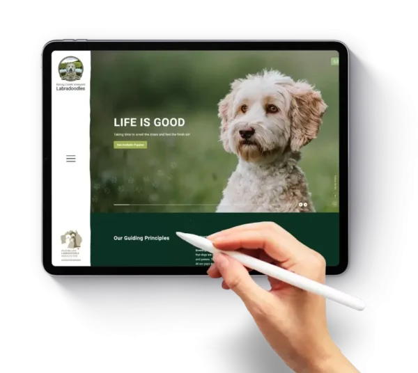 therapy website design