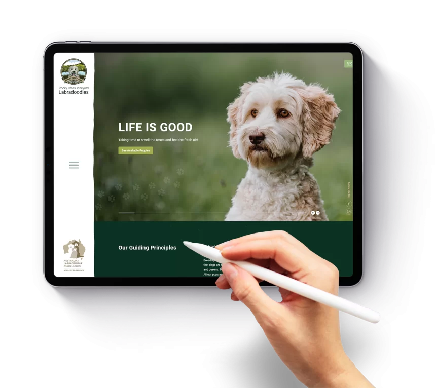 website design south yarra