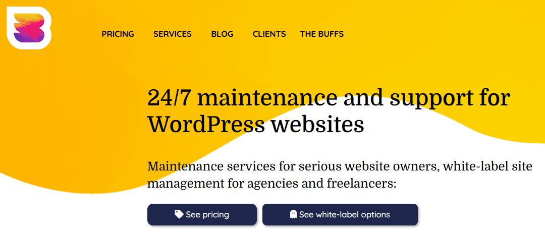 Best WordPress Maintenance Packages in Australia for Marketing Teams in 2026 3 WP Buffs, an WordPress Agency
